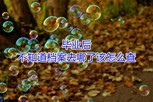 毕业后不知道档案去哪了该怎么查