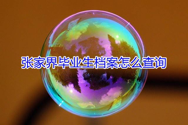张家界毕业生档案怎么查询