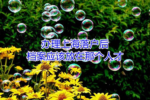 办理上海落户后档案应该放在那个人才
