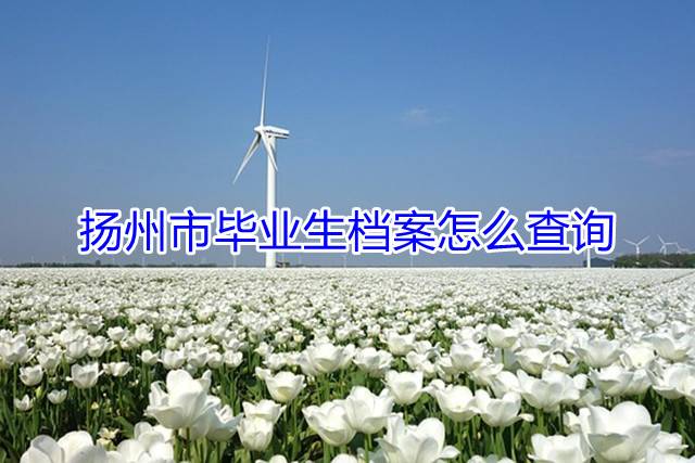 扬州市毕业生档案怎么查询