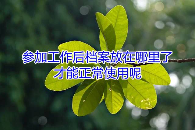 参加工作后档案放在哪里了才能正常使用呢