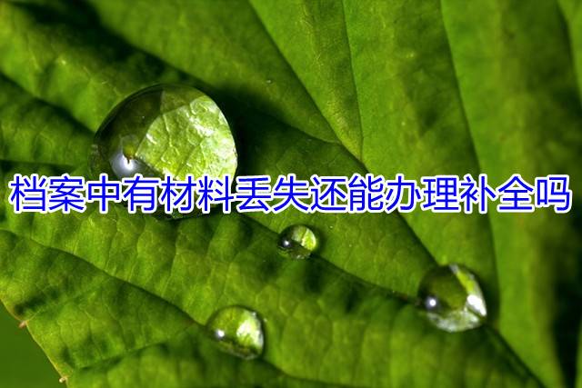 档案中有材料丢失还能办理补办吗