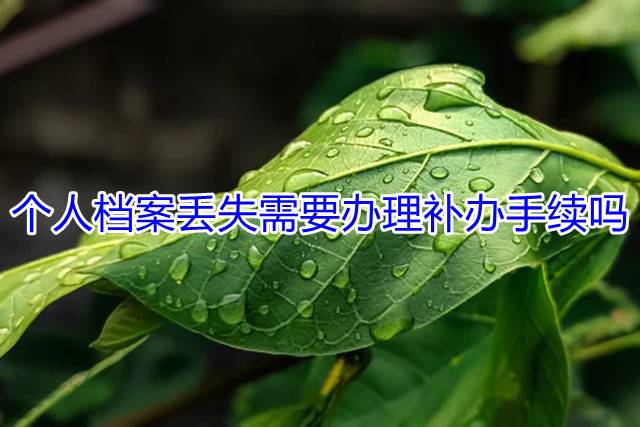 个人档案丢失需要办理补办手续吗
