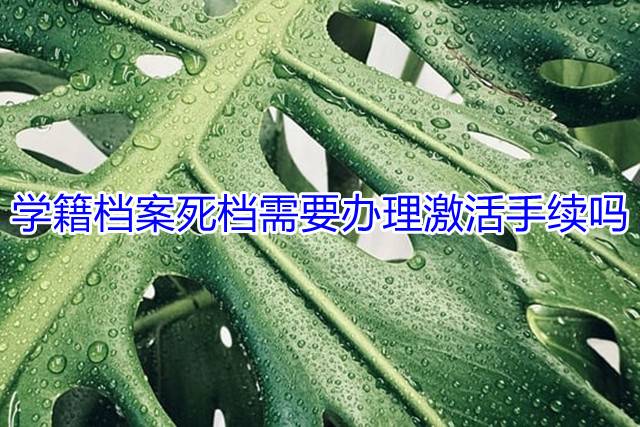 学籍档案死档需要办理激活手续吗