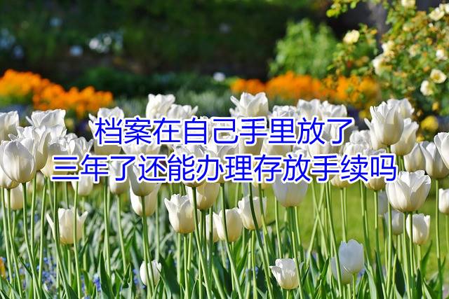 档案在自己手里放了三年了还能办理存放手续吗
