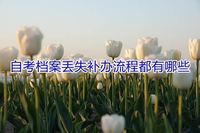 自考档案丢失补办流程都有哪些