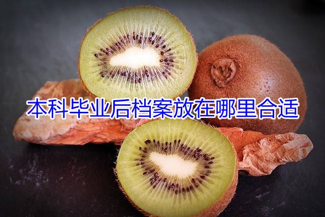 本科毕业后档案放在哪里合适