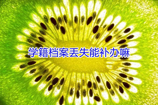 学籍档案丢失能补办嘛