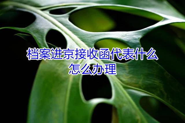档案进京接收函代表什么，怎么办理