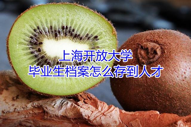 上海开放大学毕业生档案怎么存到人才