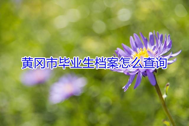 黄冈市毕业生档案怎么查询