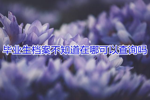 毕业生档案不知道在哪可以查询吗