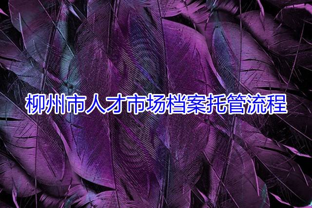 柳州市人才市场档案托管流程