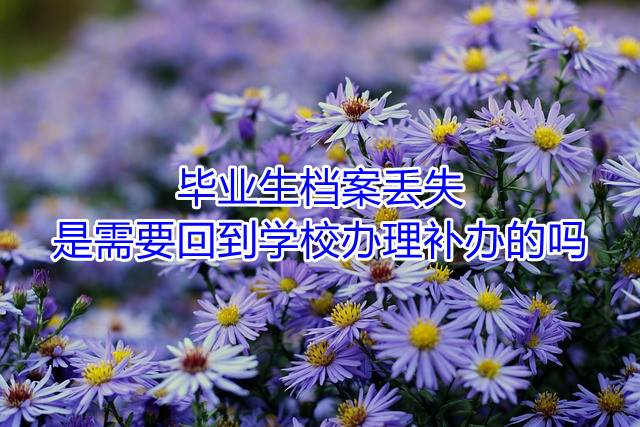 毕业生档案丢失是需要回到学校办理补办的吗