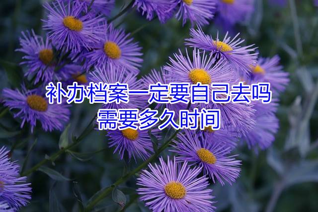 补办档案一定要自己去吗，需要多久时间