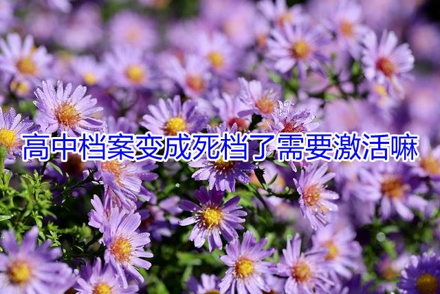 高中档案变成死档了需要激活嘛