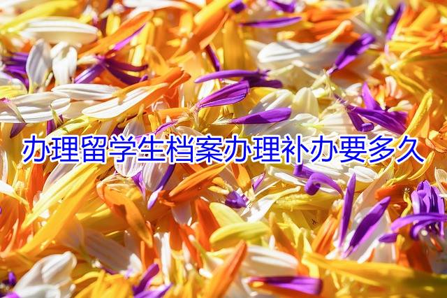 办理留学生档案办理补办要多久