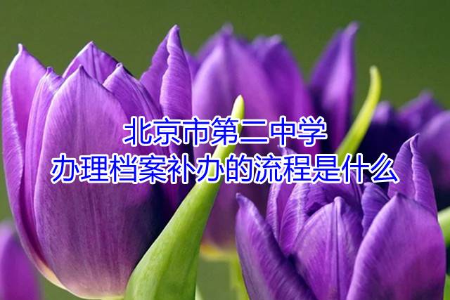 北京市第二中学办理档案补办的流程是什么