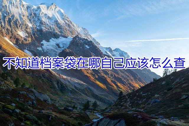 不知道档案袋在哪自己应该怎么查