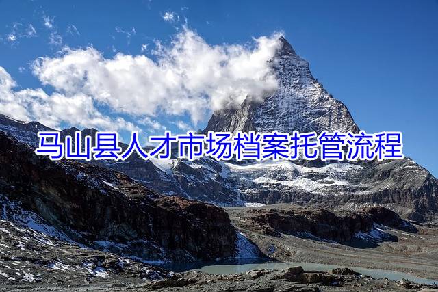马山县人才市场档案托管流程