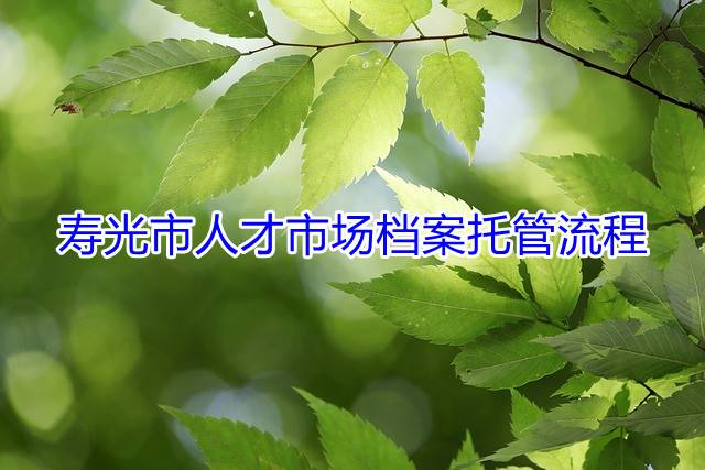 寿光市人才市场档案托管流程