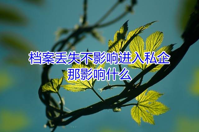 档案丢失不影响进入私企，那影响什么