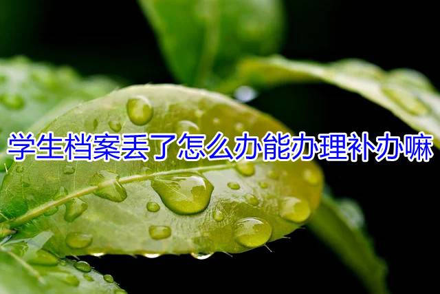 学生档案丢了怎么办能办理补办嘛