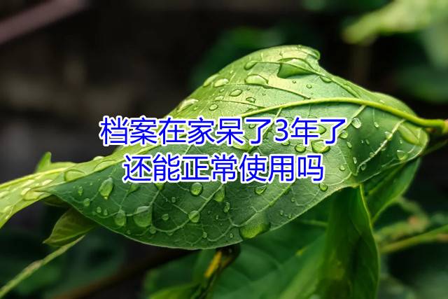 档案在家呆了3年了还能正常使用吗
