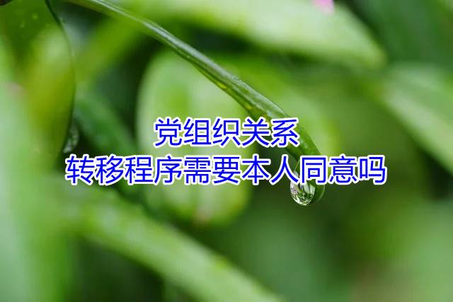 党组织关系转移程序需要本人同意吗