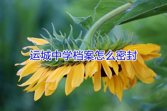 运城中学档案怎么密封