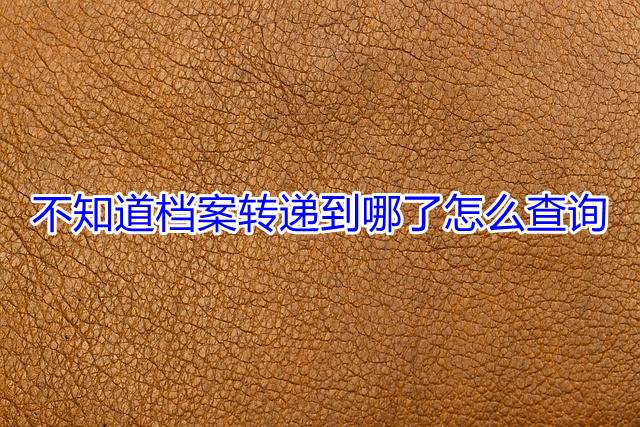不知道档案转递到哪了怎么查询