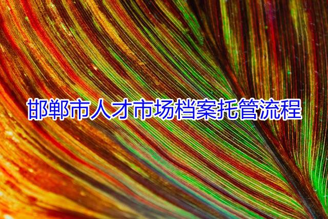 邯郸市人才市场档案托管流程