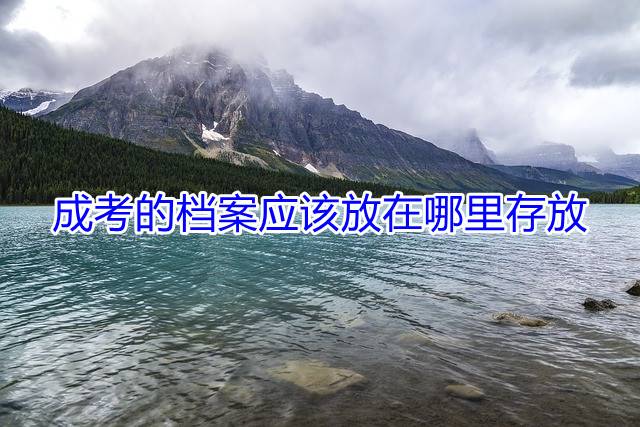 成考的档案应该放在哪里存放