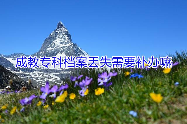 成教专科档案丢失需要补办嘛