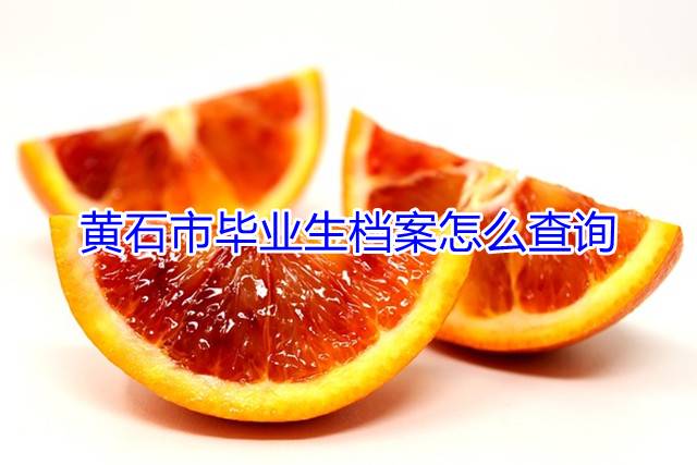 黄石市毕业生档案怎么查询