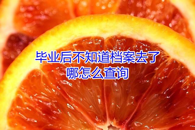 毕业后不知道档案去了哪怎么查询