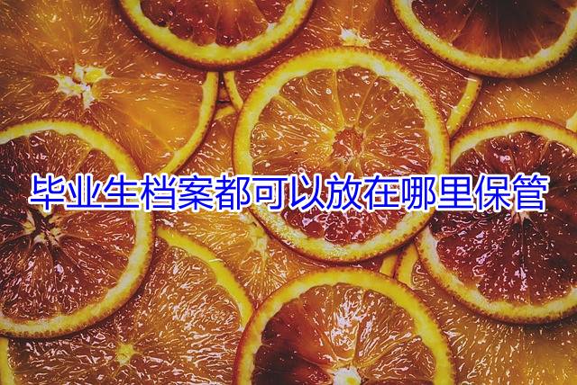 毕业生档案都可以放在哪里保管