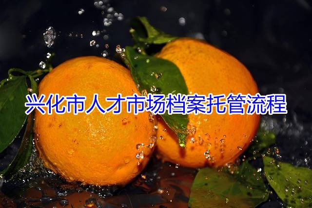 兴化市人才市场档案托管流程
