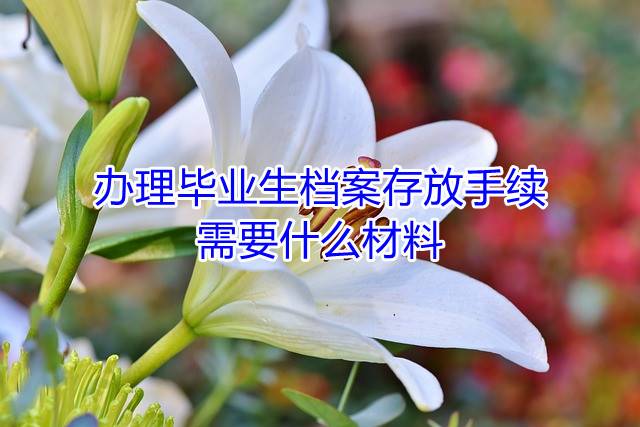 办理毕业生档案存放手续需要什么材料