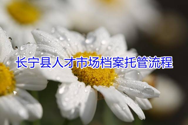 长宁县人才市场档案托管流程