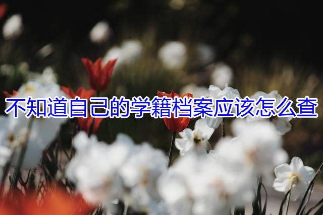 不知道自己的学籍档案在哪应该怎么查