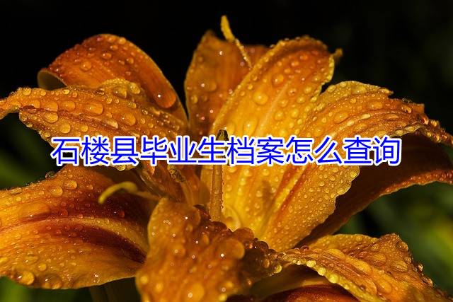 石楼县毕业生档案怎么查询