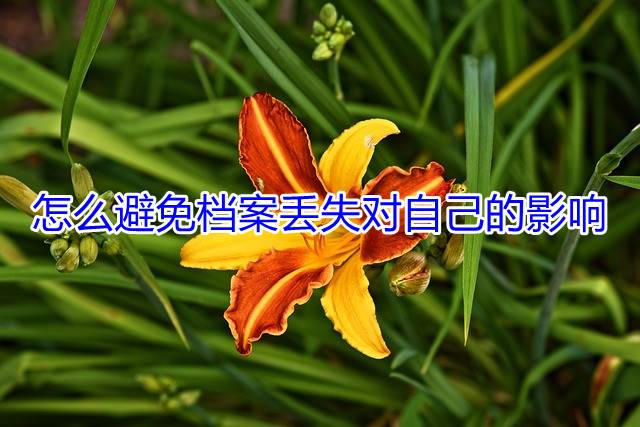 怎么避免档案丢失对自己的影响
