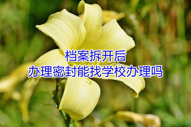 档案拆开后，办理密封能找学校办理吗