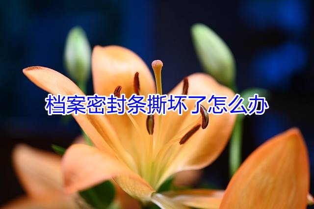 档案密封条撕坏了怎么办