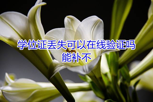 学位证丢失可以在线验证吗，能补不