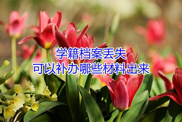 学籍档案丢失可以补办哪些材料出来