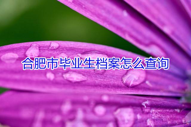 合肥市毕业生档案怎么查询