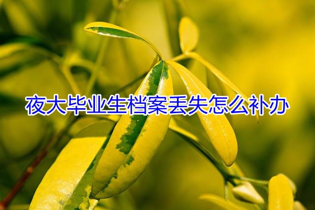 夜大毕业生档案丢失怎么补办