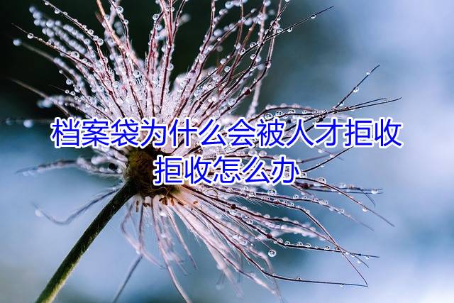 档案袋为什么会被人才拒收，拒收怎么办